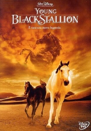Young black stallion (2003)