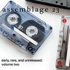 Assemblage 23 - Early, Rare & Unreleased