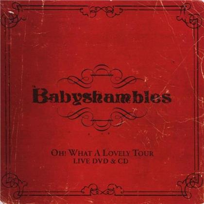 Babyshambles - Oh What A Lovely Tour - Live