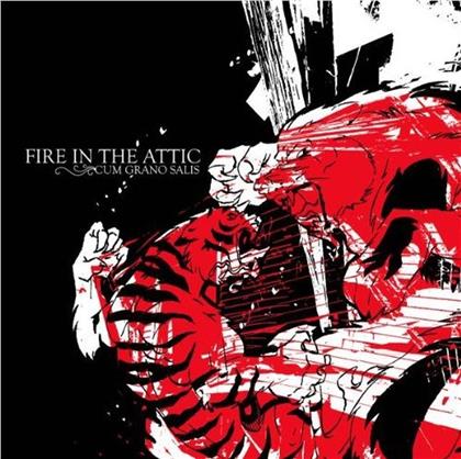 Fire In The Attic - Cum Grano Salis (2 CDs)