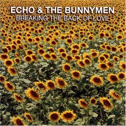 Echo & The Bunnymen - Breaking The Back Of Love