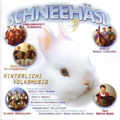 Schneehäsli - Winterliche Volksmusik - Various