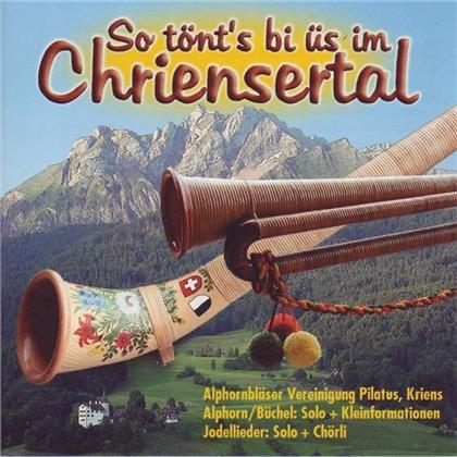 Alphorn-Sampler - Various - So Tönt's Bi Üs Im Chrienserta