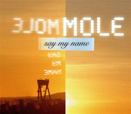 The Mole - Say My Name - 2Track