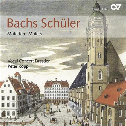 Vocal Concert Dresden & Homilius/Cpe Bach/Ua - Bachs Schüler (Motetten)