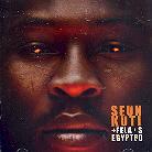 Seun Kuti & Egypt 80 - ---