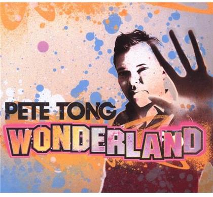 Pete Tong - Wonderland 2008 (Mixed By) (2 CDs)