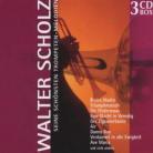 Walter Scholz - Seine Schönsten Trompeten-Melodien (3 CDs)