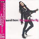 Sandi Thom - Pink & The Lily - + Bonus