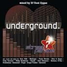 Streetparade 2008 - Underground - Dj Dani Gygax