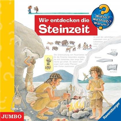 Missler Robert & Kinder - Wieso? Weshalb? Warum? : Wir Entdecken Die Steinzeit