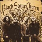 Black Stone Cherry - --- (Japan Edition)