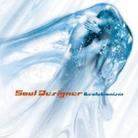 Soul Designer - Evolutionism