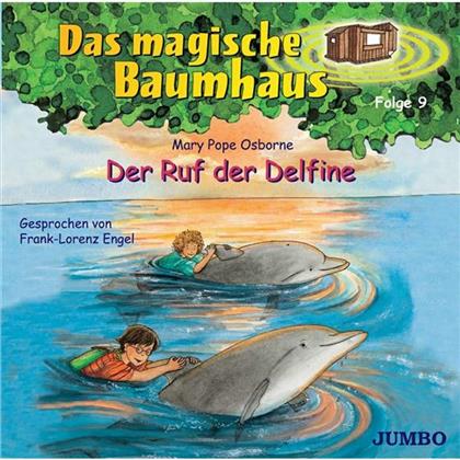 Frank-Lorenz Engel - Ruf Der Delfine