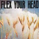 Flex Your Head - Various - A Dischord Label