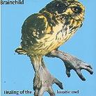 Brainchild - Healing Lunitic Owl