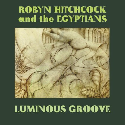 Robyn Hitchcock - Luminous Groove (6 CDs)