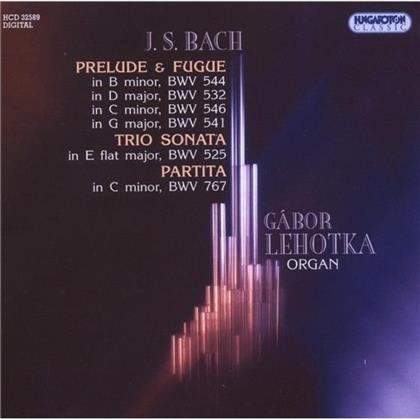 Gabor Lehotka & Johann Sebastian Bach (1685-1750) - Partita Bwv767, Praeludium & F