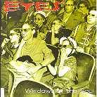 The Eyes - Windows Of The Soul