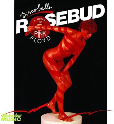 Rosebud - A Tribute To Pink Floyd