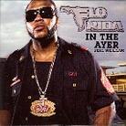 Flo-Rida - In The Ayer - 1 Track