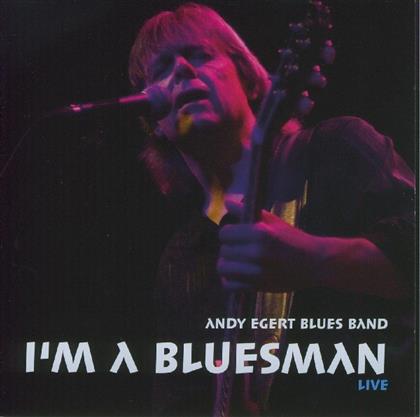 Andy Egert - I'm A Bluesman