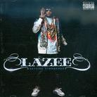Lazee - Setting Standards