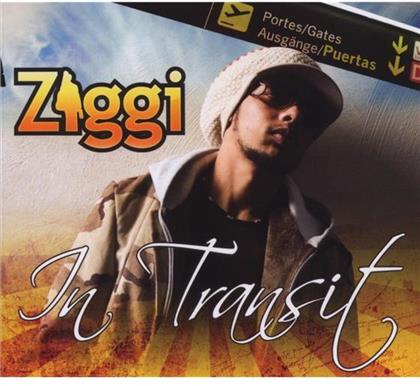Ziggi Recado - In Transit