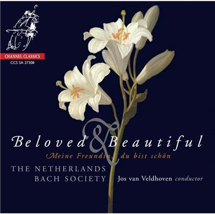 Johannette Zomer & Diverse Barock - Beloved & Beautiful Meine Freu