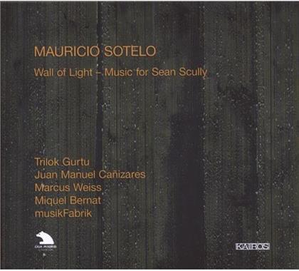 Weiss/Gurtu/Ensemble Musikfabrik & Mauricio Sotelo - Wall Of Light.Music For Jean S