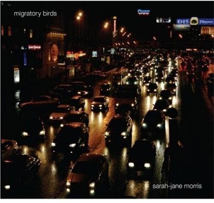 Sarah Jane Morris - Migratory Birds
