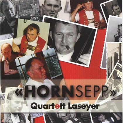 Quartett Laseyer - Hornsepp