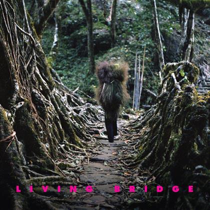 Living Bridge - Brooklyn Indie (2 CDs)