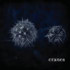 Cranes - ---