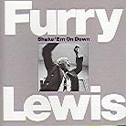 Furry Lewis - Shake Em On Down