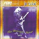 Joe Satriani - Beautiful Guitar