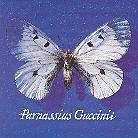 Francesco Guccini - Parnassius
