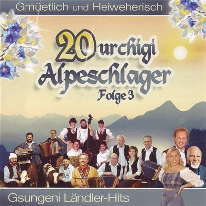 20 Urchigi Alpeschlager - Various 03
