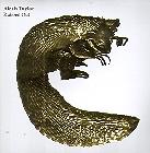 Alexis Taylor (Hot Chip) - Rubbed Out