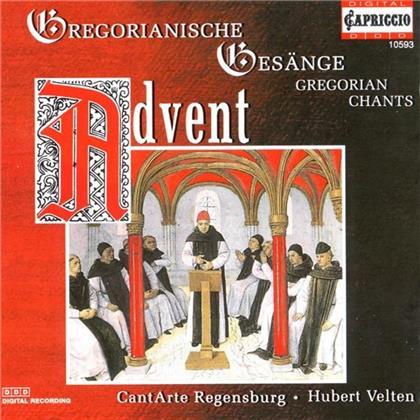 cantArte Regensburg & --- - Gregorianische Adventsgesänge