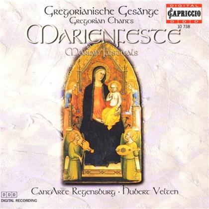 cantArte Regensburg & --- - Gregorianik-Marienfeste
