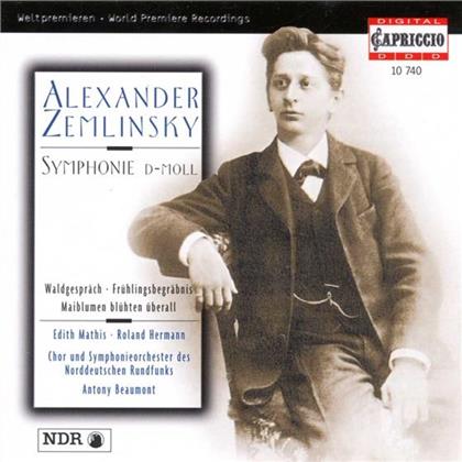 Mathis/Hermann & Alexander von Zemlinsky (1871-1942) - Sinfonie D-Moll