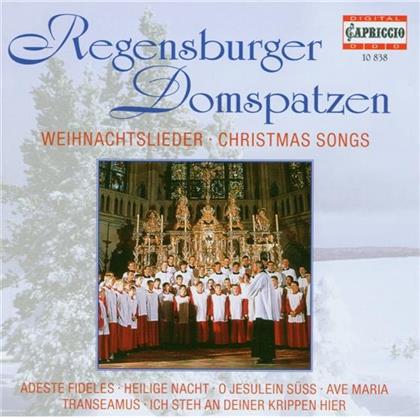 Regensburger Domspatzen & --- - Weihnachtslieder