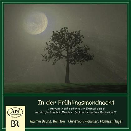 Bruns Martin/Hammer Christoph & --- - In Der Frühlingsmondnacht