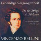 Boninsegna/Ponselle/Callas & Vincenzo Bellini (1801-1835) - On The Wings Of Belcanto (2 CDs)