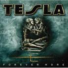 Tesla - Forever More + 1 Bonustrack