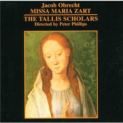 --- & Obrecht - Missa Maria Zart