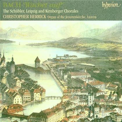 Metzler Herrick & Johann Sebastian Bach (1685-1750) - Wachet Auf! (2 CDs)