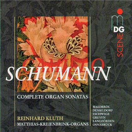 Reinhard Kluth & Camillo Schumann - Complete Organ Sonatas (2 CDs)