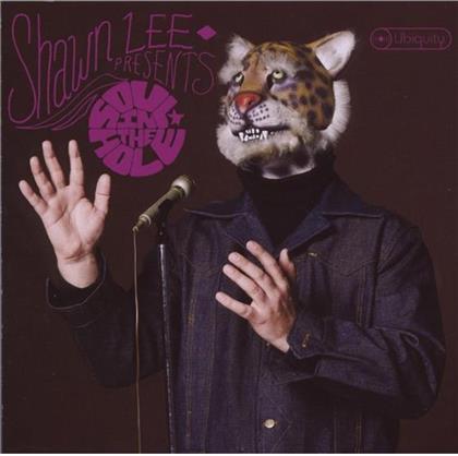 Shawn Lee - Soul In The Hole